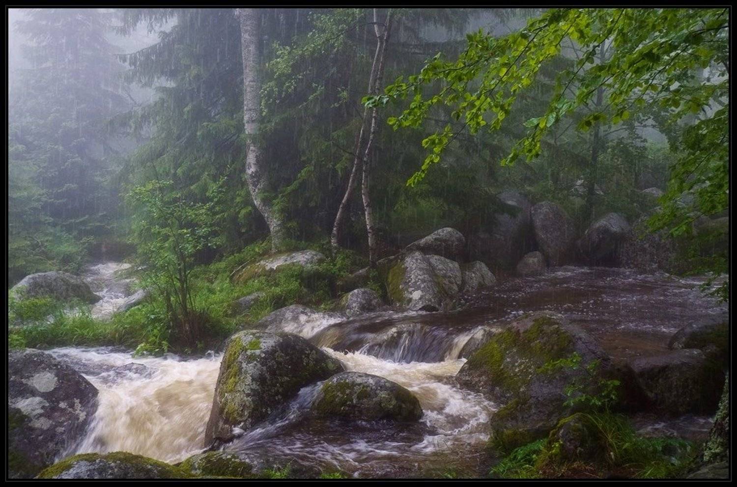 Автор: Svetoslav , Svetoslav