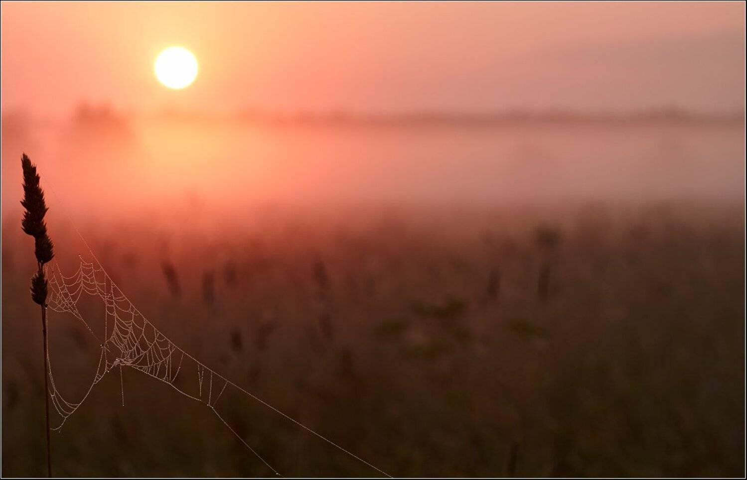 Рассветная.... Автор: (Roman) Heger , (Roman) Heger