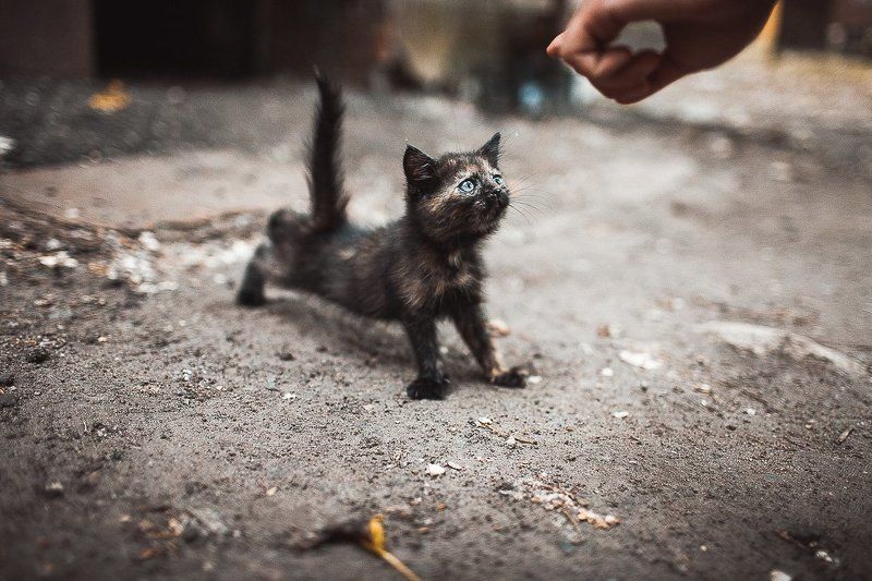 morning exercisesphoto preview