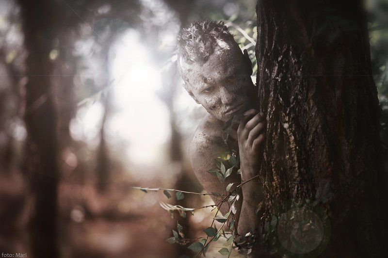 леснойphoto preview