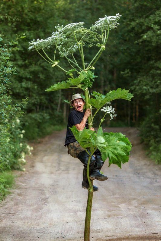 Я фото превью