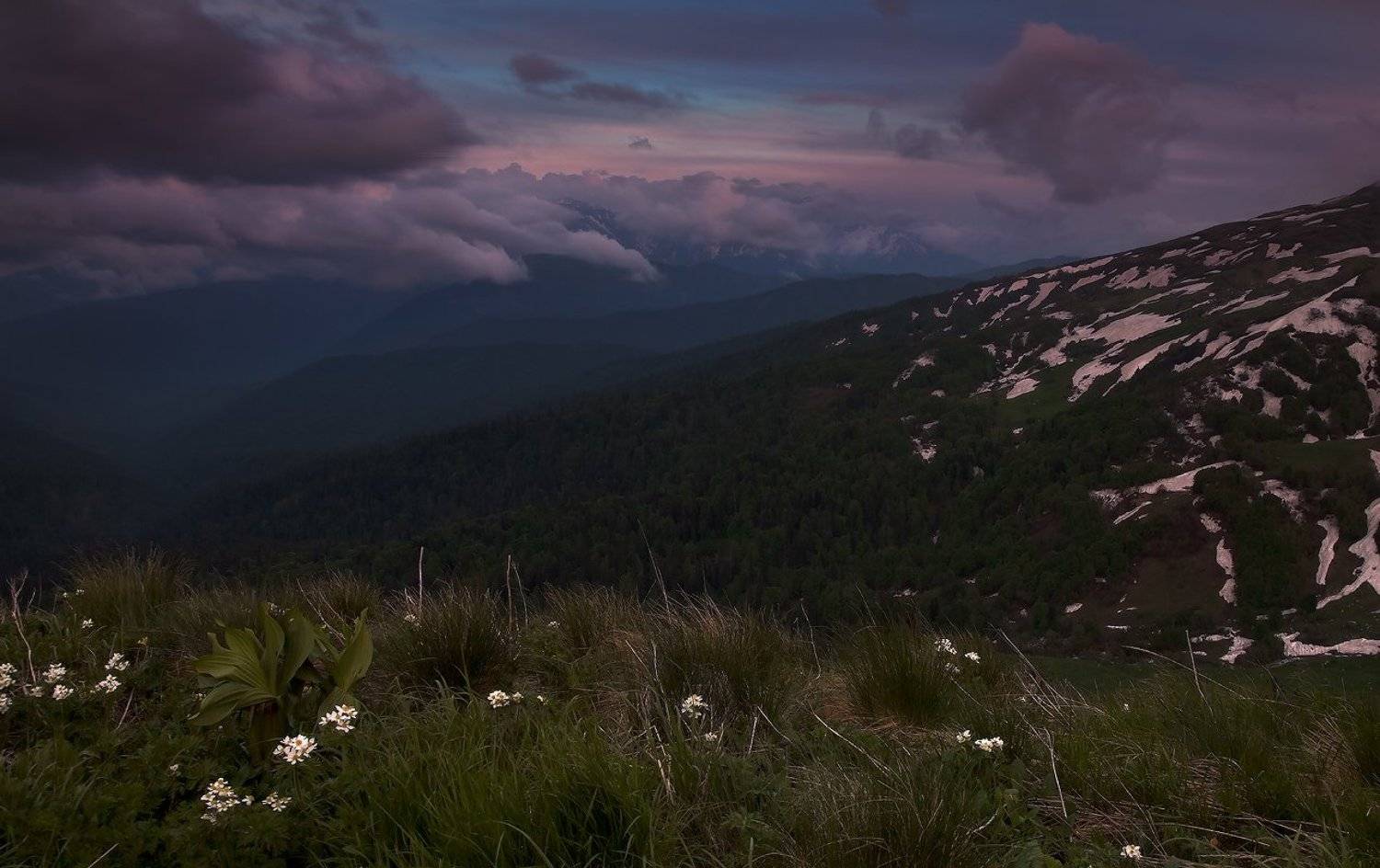 , Ирина Заграничная