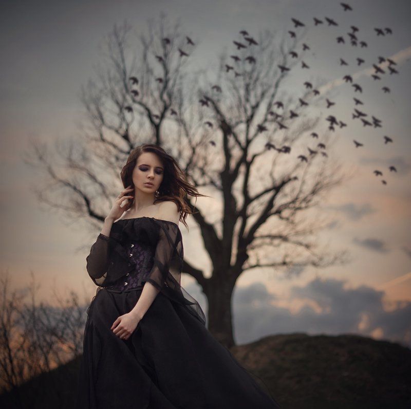 Lonely Oakphoto preview