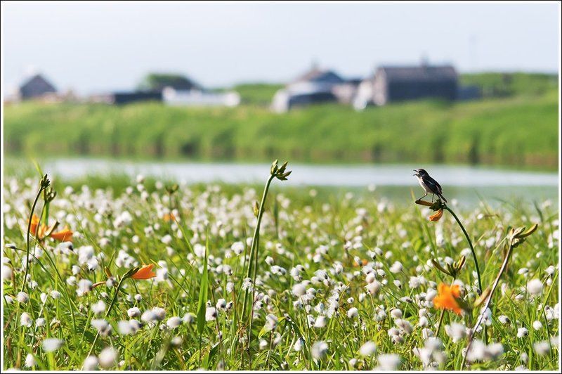 Утро на реке Аракульphoto preview