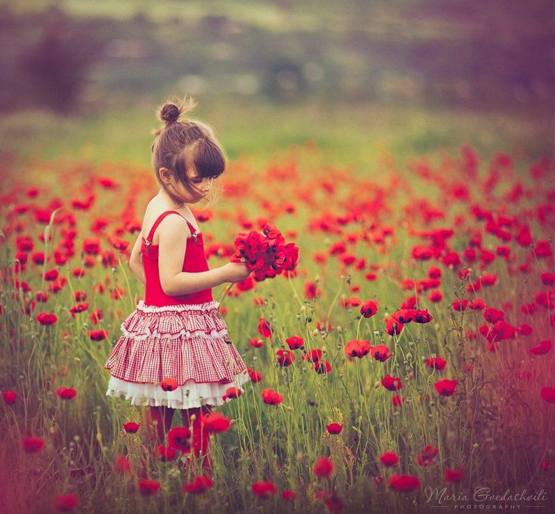 Elly, Field, Flowers, Girl, Poppies, Poppy Poppy Girlphoto preview
