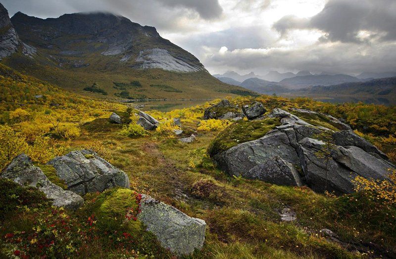 *** фото превью