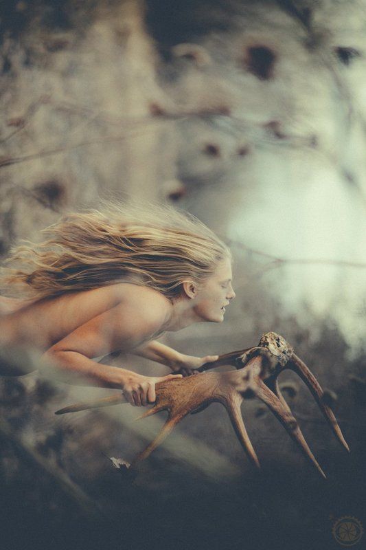 Siberia, Лес, Лось, Миф, Охота, Природа, Россия, Сибирь, Сказка, Скандинавия, Славяне, Тайга, Тундра Siberiaphoto preview