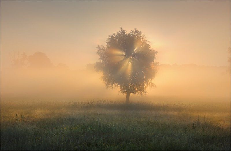 Самое Доброе Утро!!!!photo preview