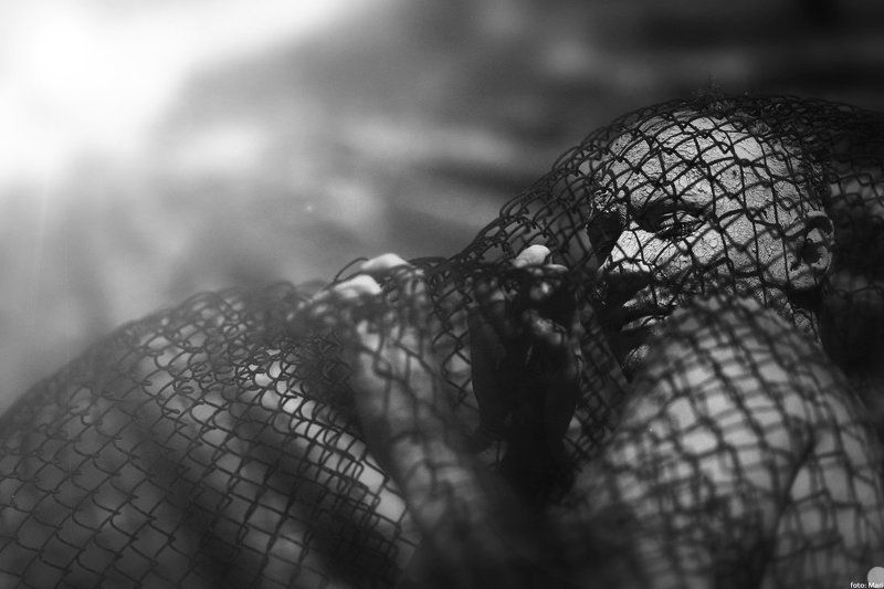 сетьphoto preview