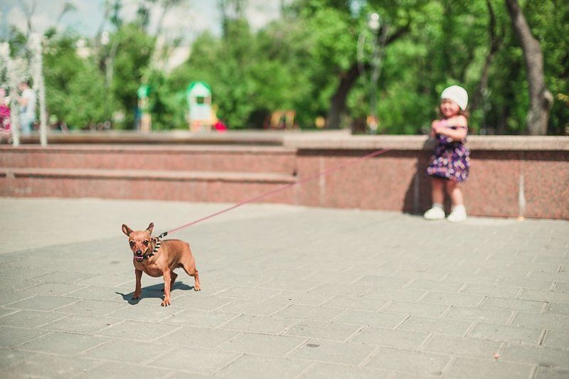 Девочка с собачкойphoto preview