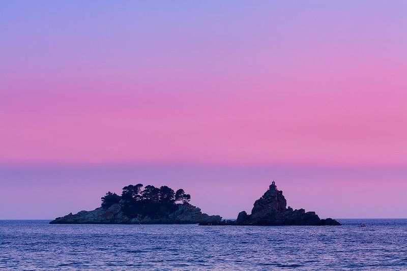 Pink worldphoto preview