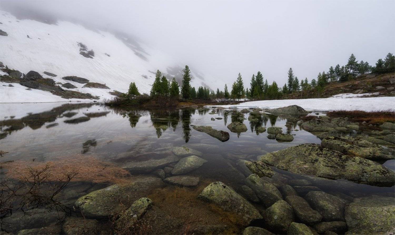 , Андрей Грачев