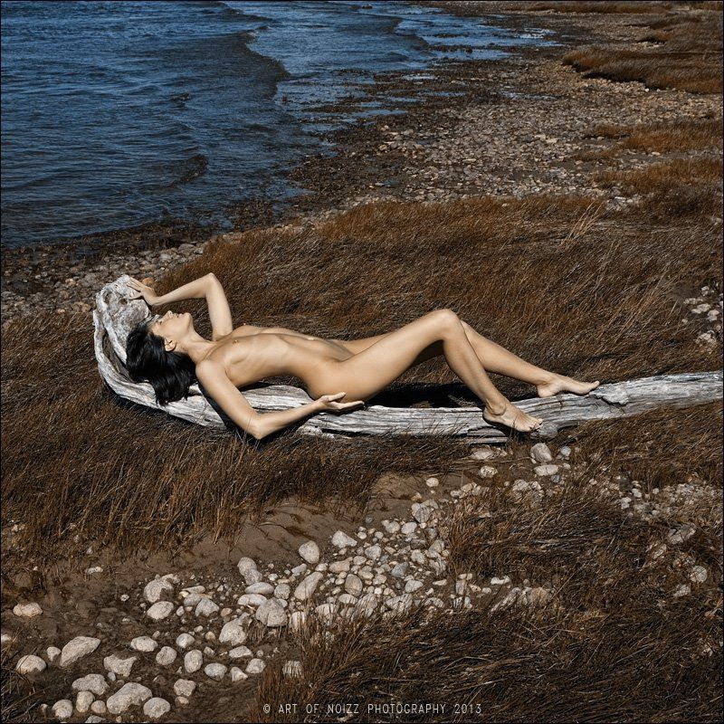 Zenit Leta фото превью