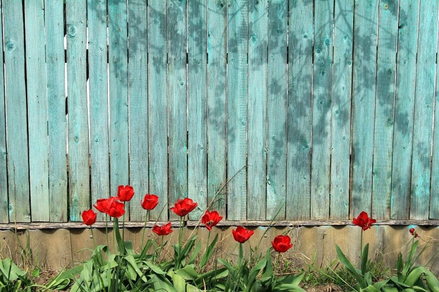 !!!!!!!!!!!!!!. Автор: Сюзанна Шевченко , Сюзанна Шевченко