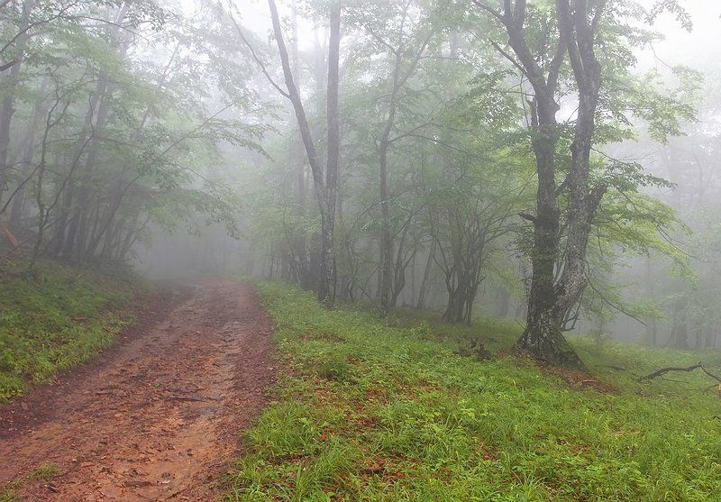 Туманphoto preview