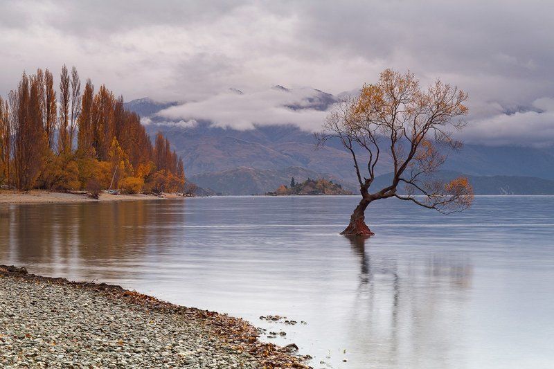 Autumn, Lake Wanaka, New Zealand, Май, Новая Зеландия, Осень Outcastphoto preview