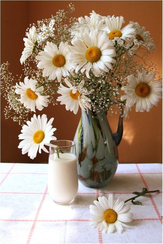 C ромашками.photo preview