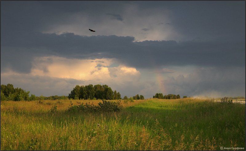 нсо, дзержинский, михайловка, сурепка, июль, аня графова Краски запоздалого июляphoto preview