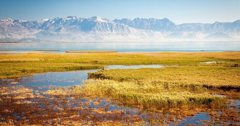 Скадарское озеро, Черногория photo preview