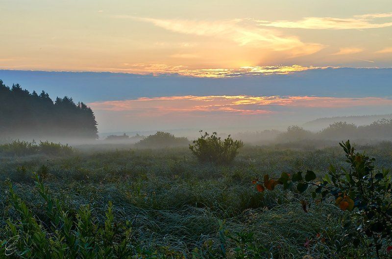 Июльский рассвет в Мещереphoto preview