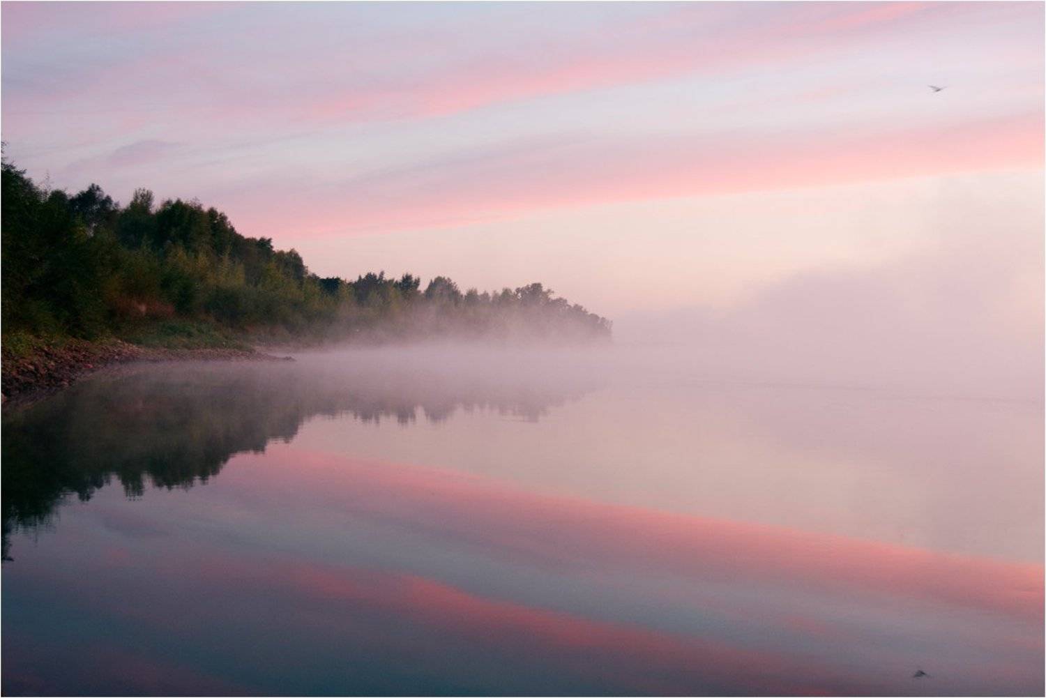 ***. Автор: Степанов Сергей , Степанов Сергей