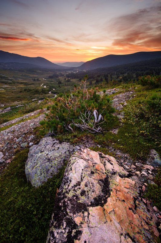 Золотая долинаphoto preview