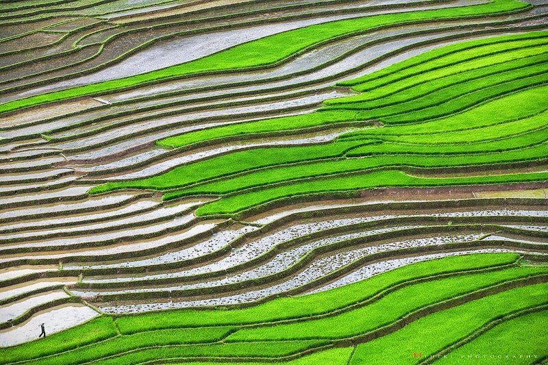 TuLe фото превью