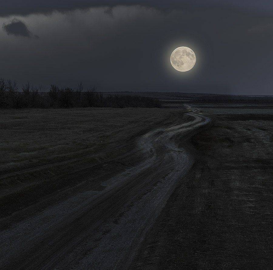 Дорога к луне. . . .. Автор: Качурин Алексей , Качурин Алексей