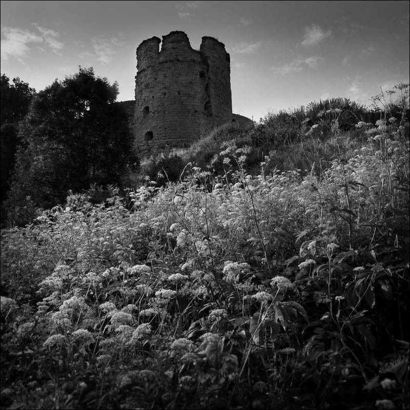 Середина летаphoto preview