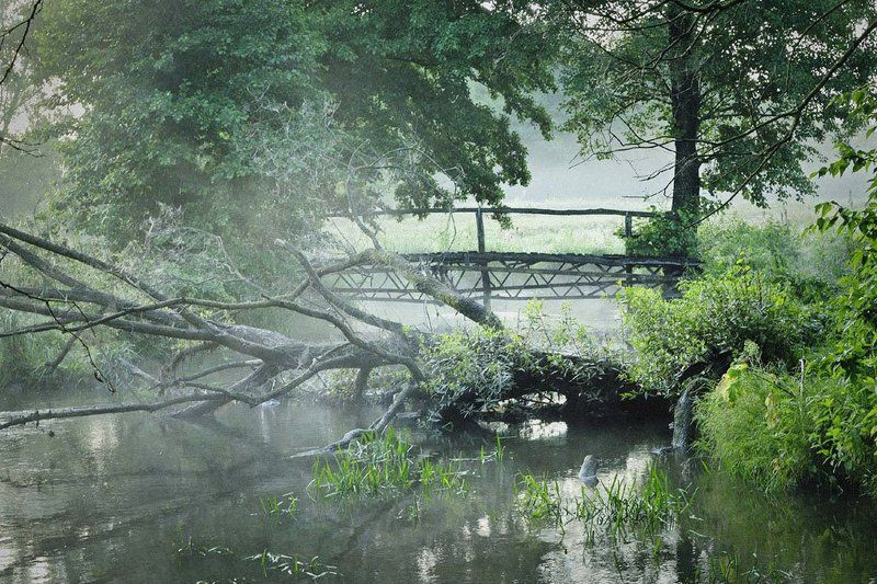 Летний этюдphoto preview