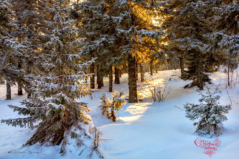 С новым годомphoto preview