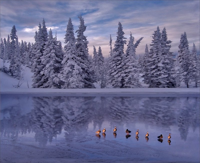 Лебединое озероphoto preview