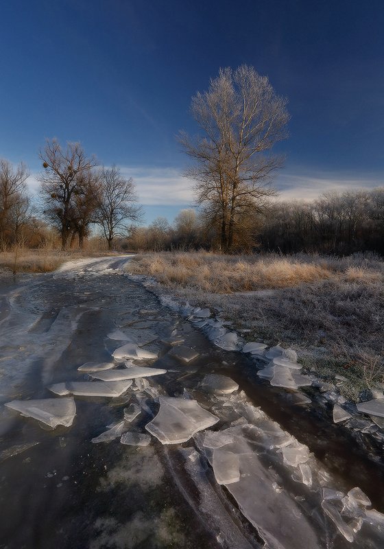 зима, утро, мороз, декабрь, лёд, иней По зимним дорожкам.photo preview