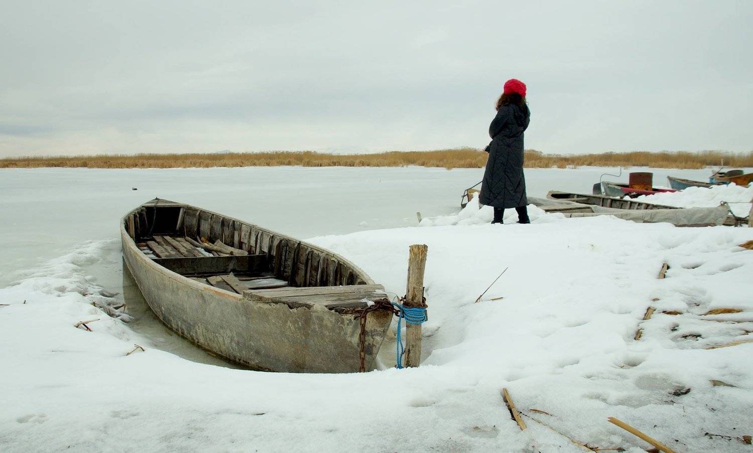 Желаю вам здорового, мирного счастливого Нового года., hilmi ayhan