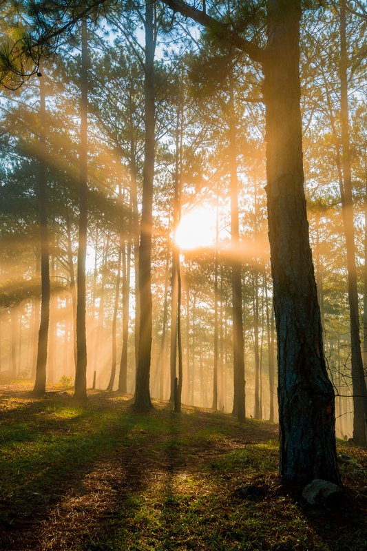 Da Lat 2020photo preview