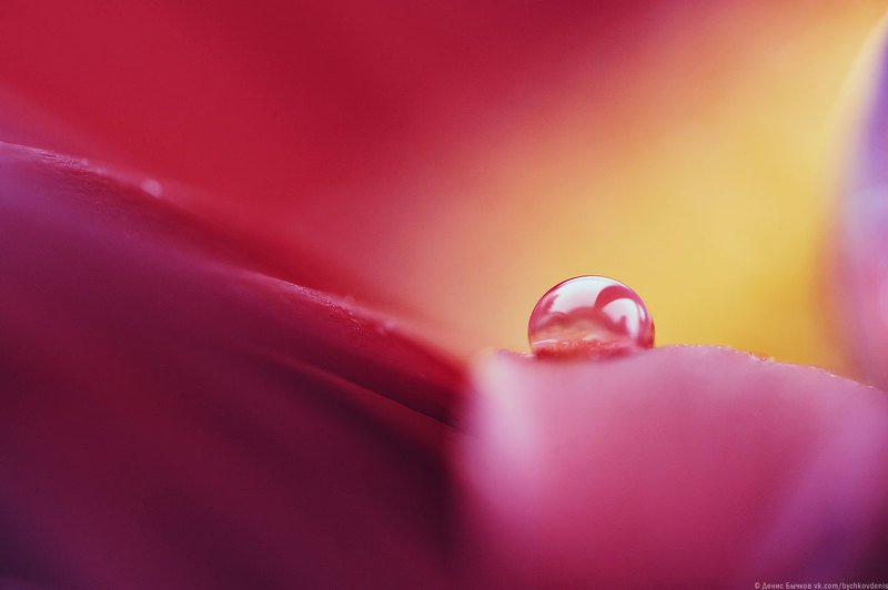 macro ***photo preview