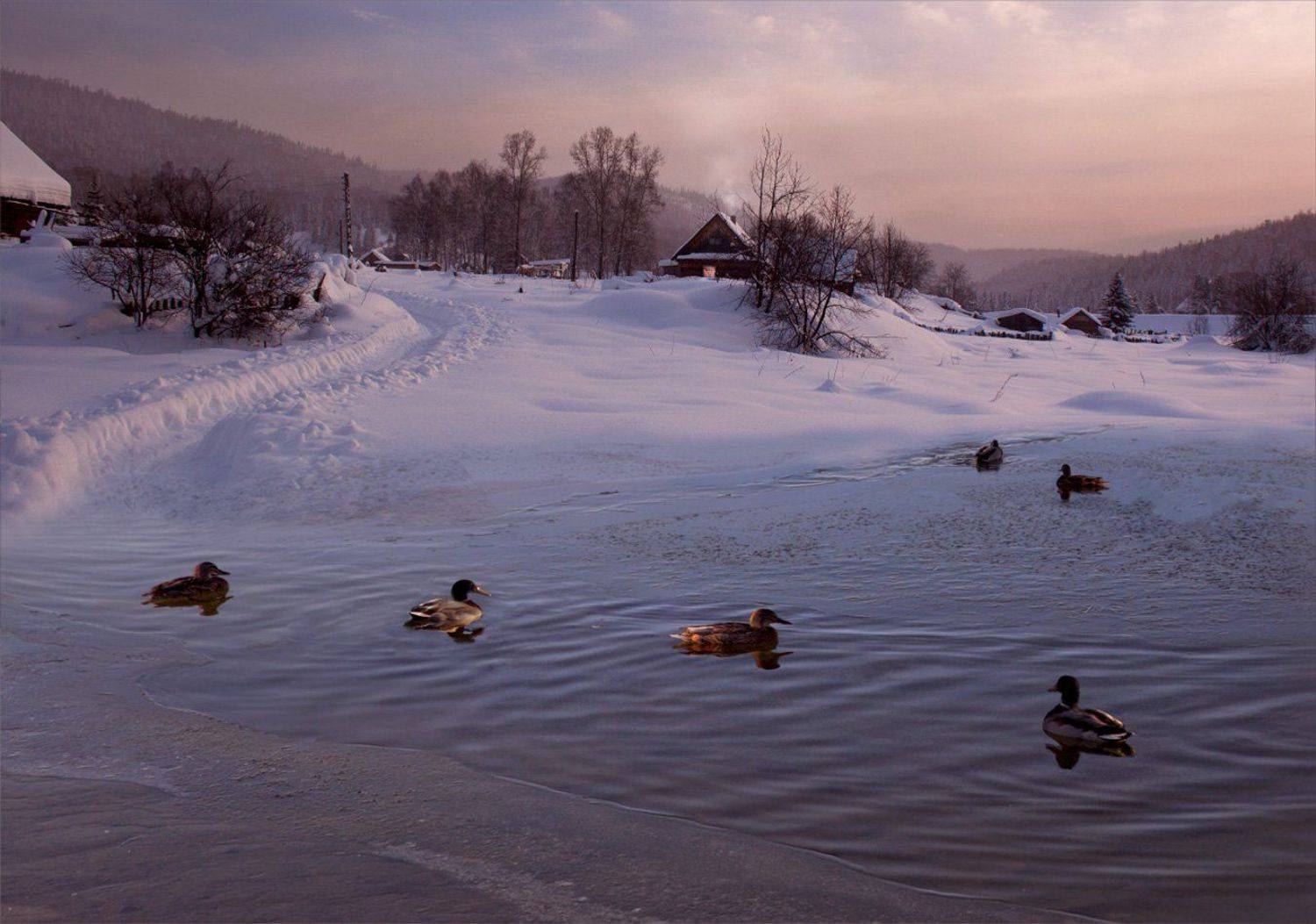, Александр Гусаков