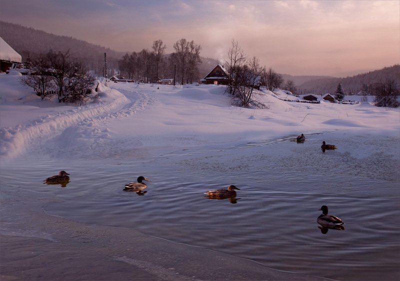 На окраине селаphoto preview