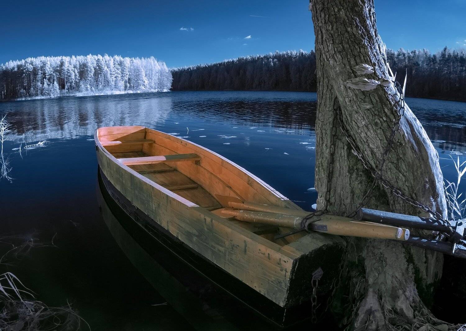 infrared,ик-фото,инфракрасное фото, инфракрасная фотография, пейзаж, осень, Sixten ( Сергей )