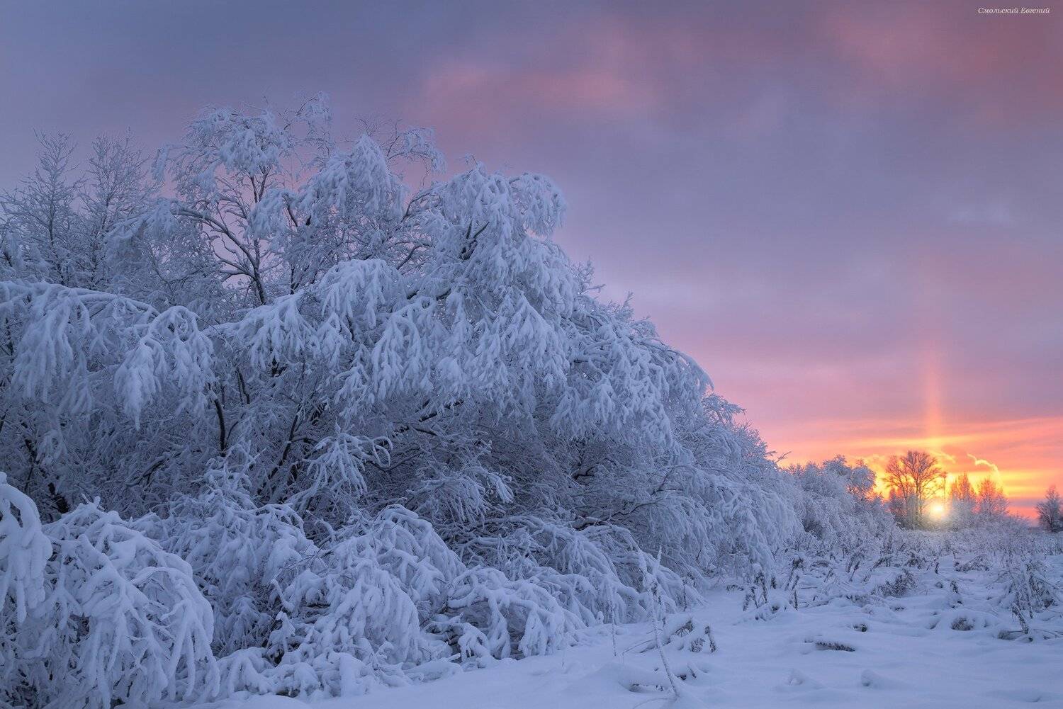 С наступающим Новым годом всех!. Автор: Смольский Евгений новый год, зима, мороз, закат, иней., Смольский Евгений