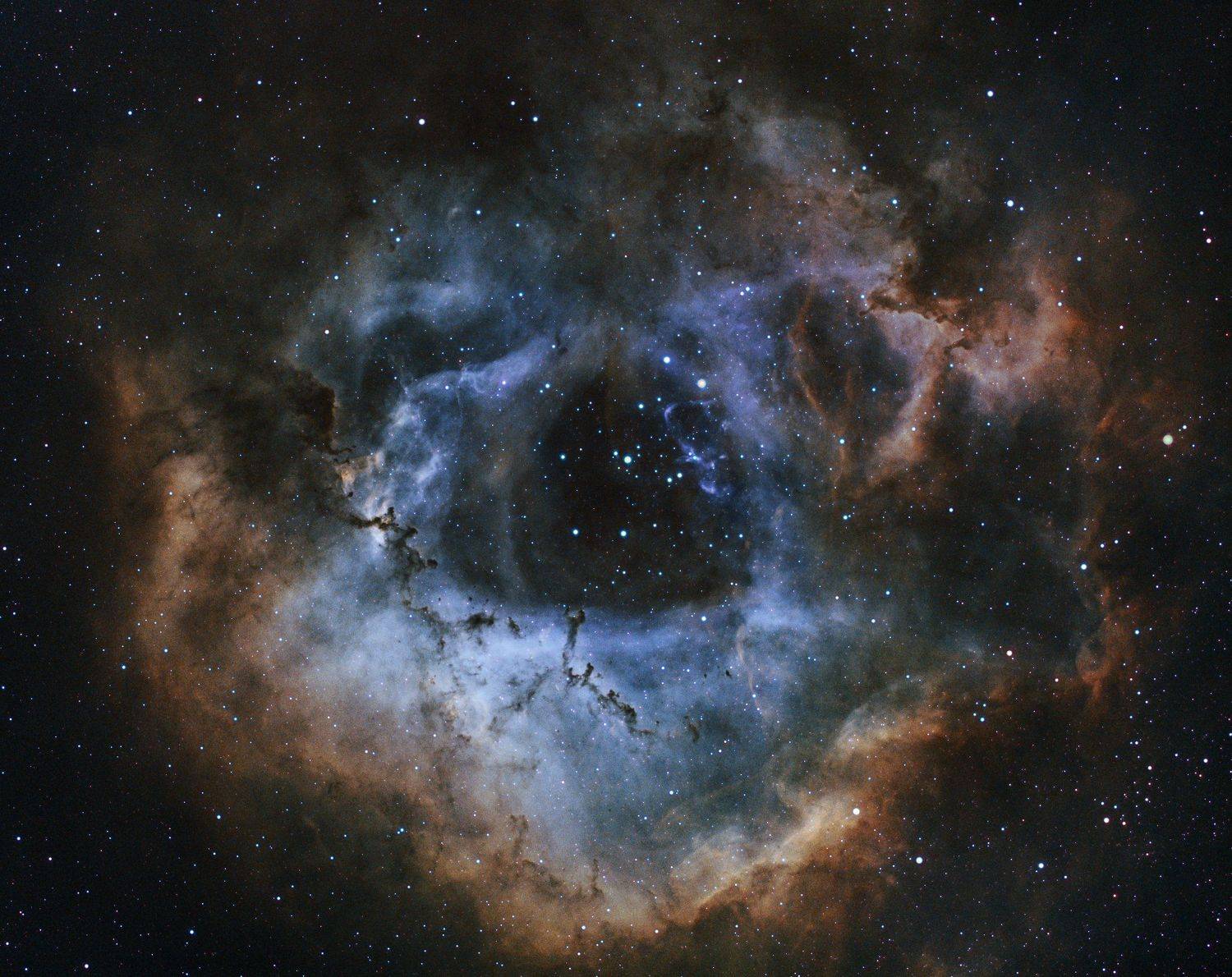 Rosette Nebula. Автор: Jarkko Järvinen astrophoto, night, deep sky, narrowband, Jarkko Järvinen