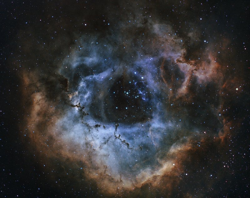astrophoto, night, deep sky, narrowband Rosette Nebulaphoto preview