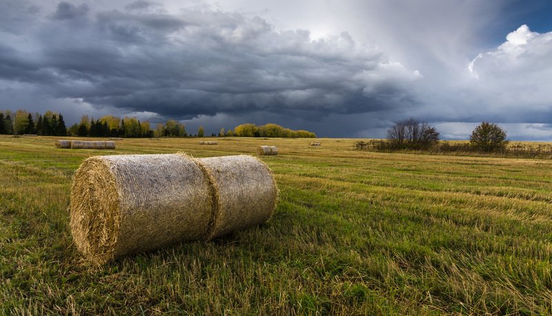 осень, конец сентября, природа, скошенное поле, хмурое небо, пейзаж Осенний этюдphoto preview
