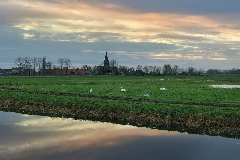 Morning in Noordschote (Belgium).photo preview