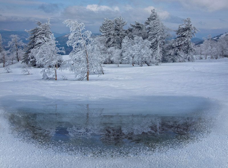 Таинственный мир природыphoto preview