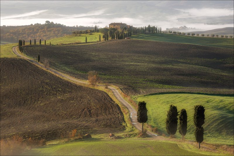 italy,san quirico d \\\' orcia,italia,туман,италия,тоскана,pienza,кипарис,toscana,осень,tuscany,cipressi,belvedere,пьенца,morning,colors,fog \