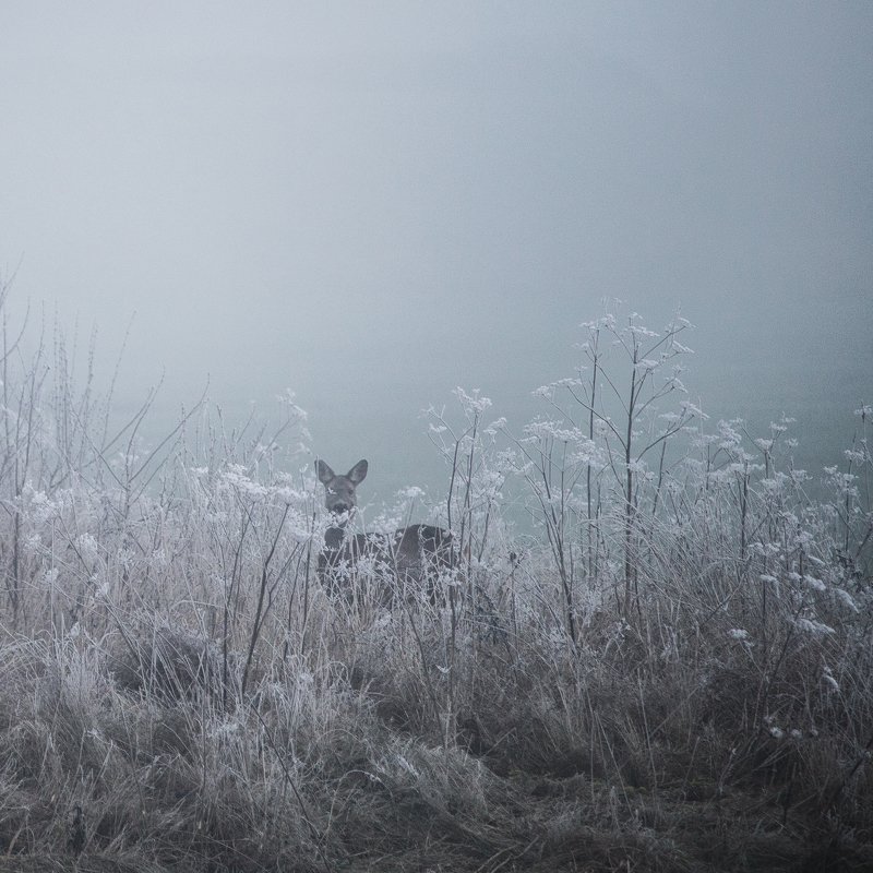 01.01.2021photo preview