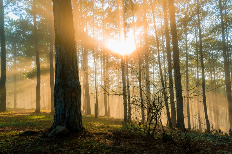 Da Lat 2020photo preview