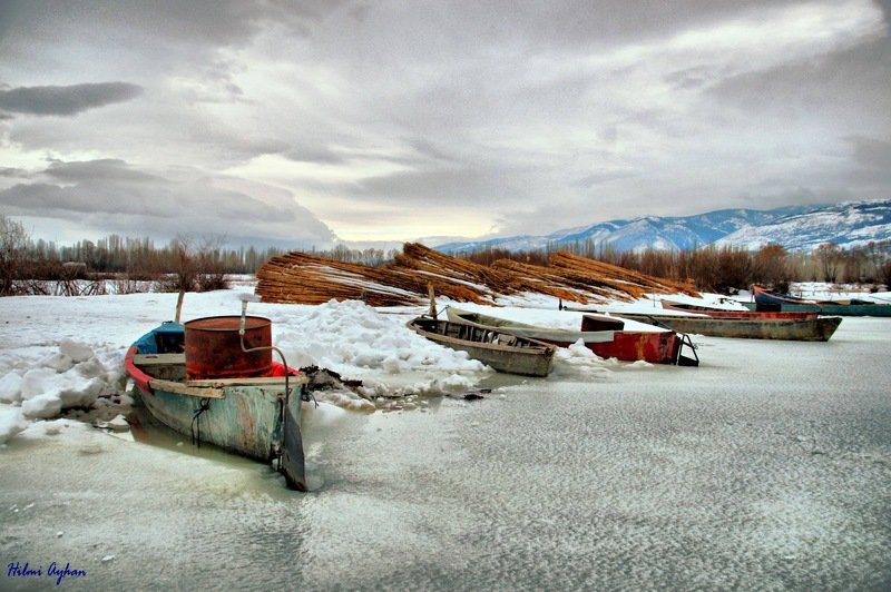 stillife Кайсиphoto preview