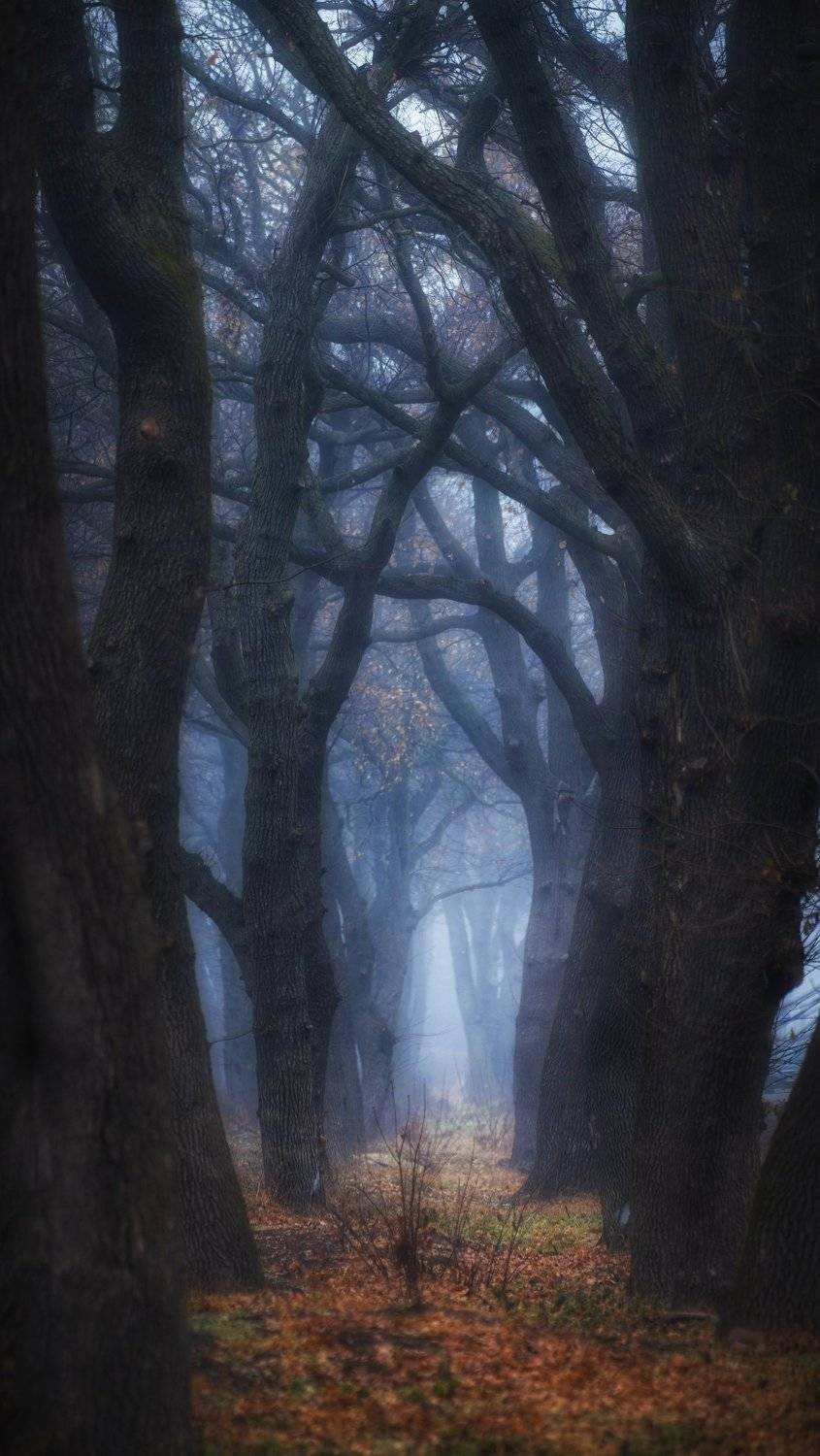 , Павел Сагайдак